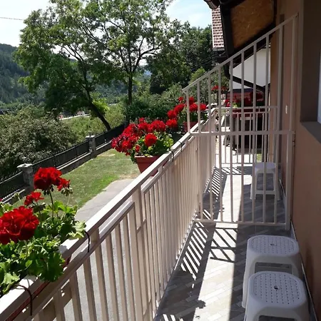 Apartmani Maksimovic Mokra Gora Exterior photo