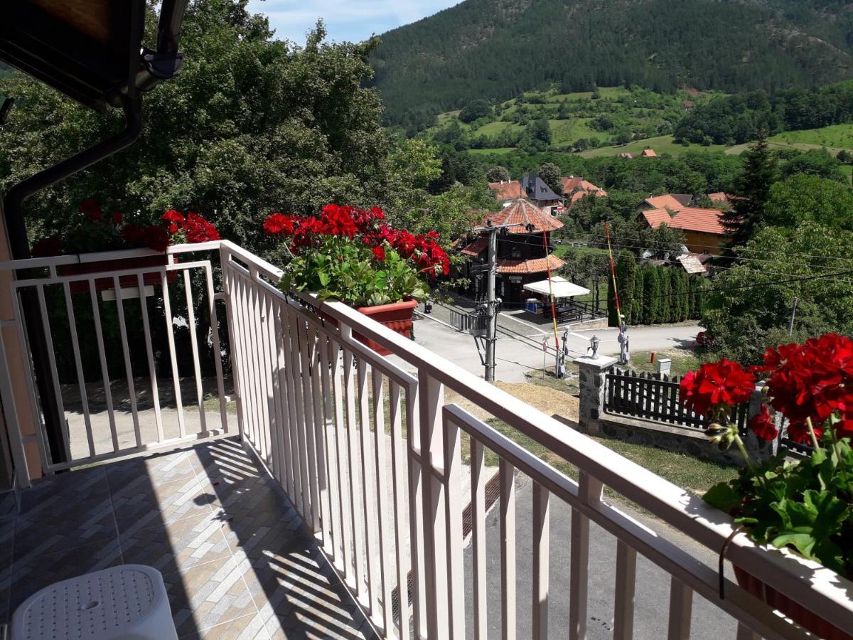 Apartment Maksimovic