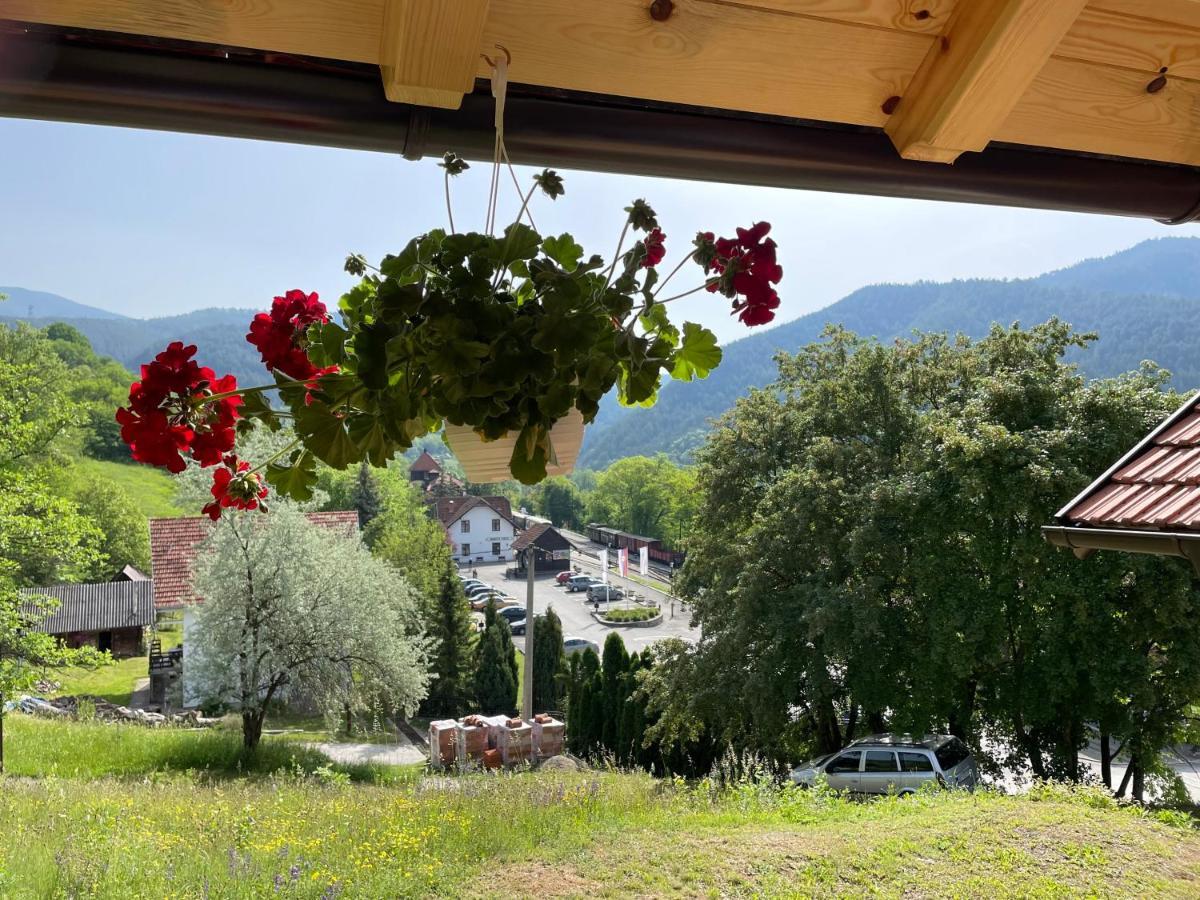 Maksimovic Mokra Gora