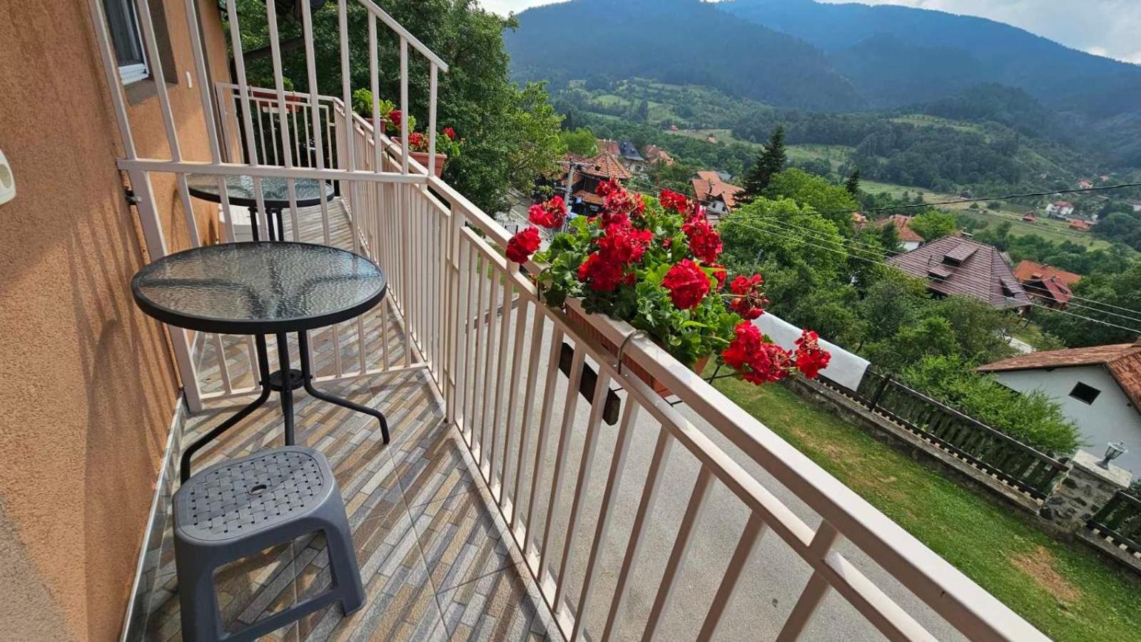 Apartment Maksimovic Mokra Gora
