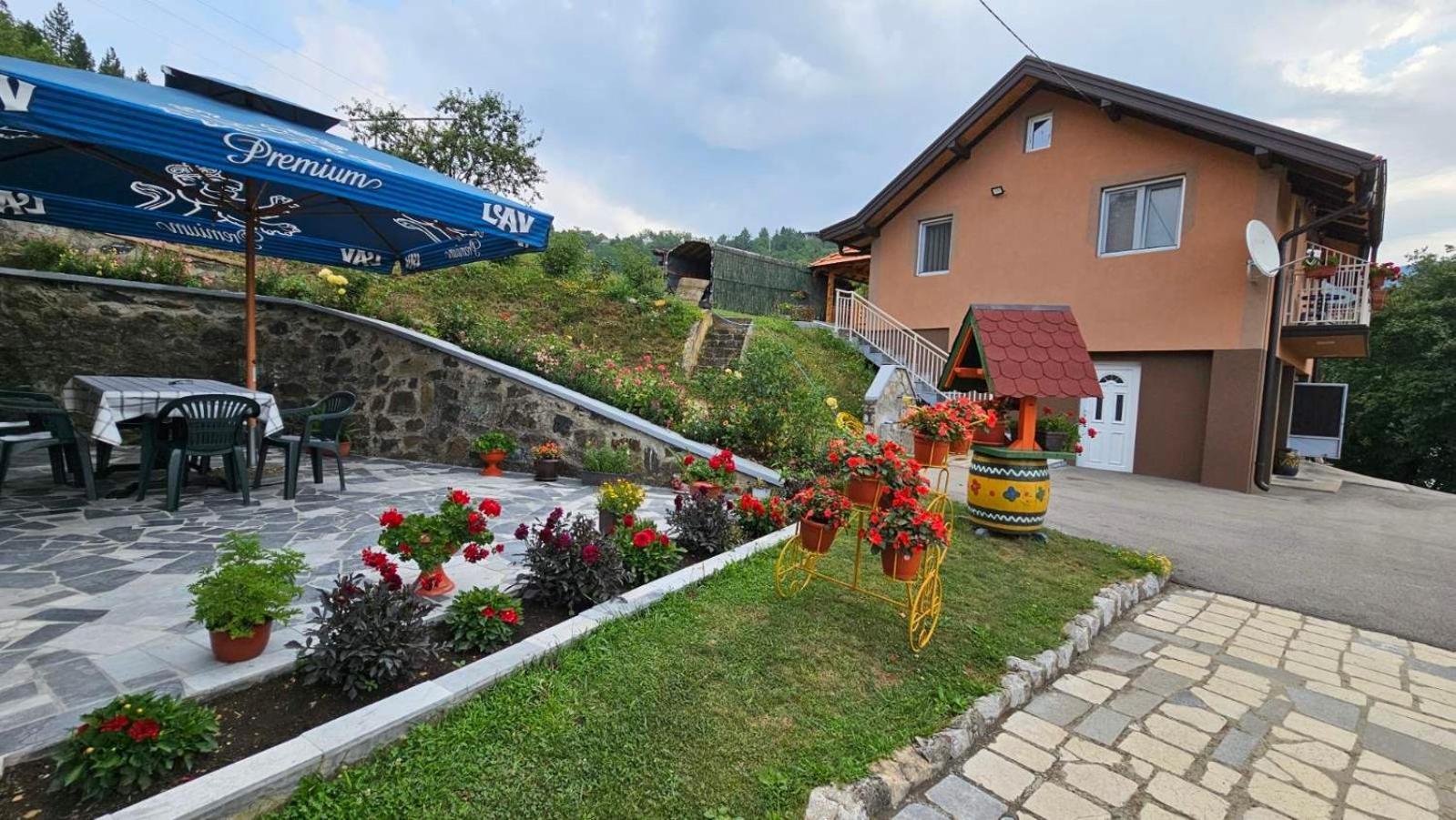 Maksimovic Mokra Gora
