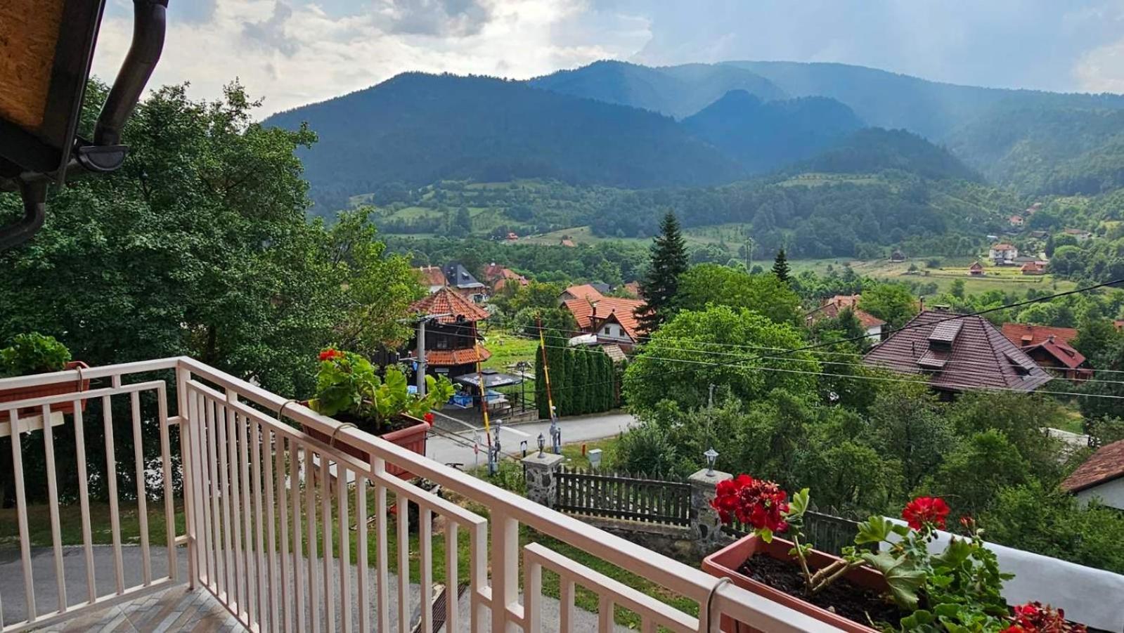 Maksimovic Mokra Gora